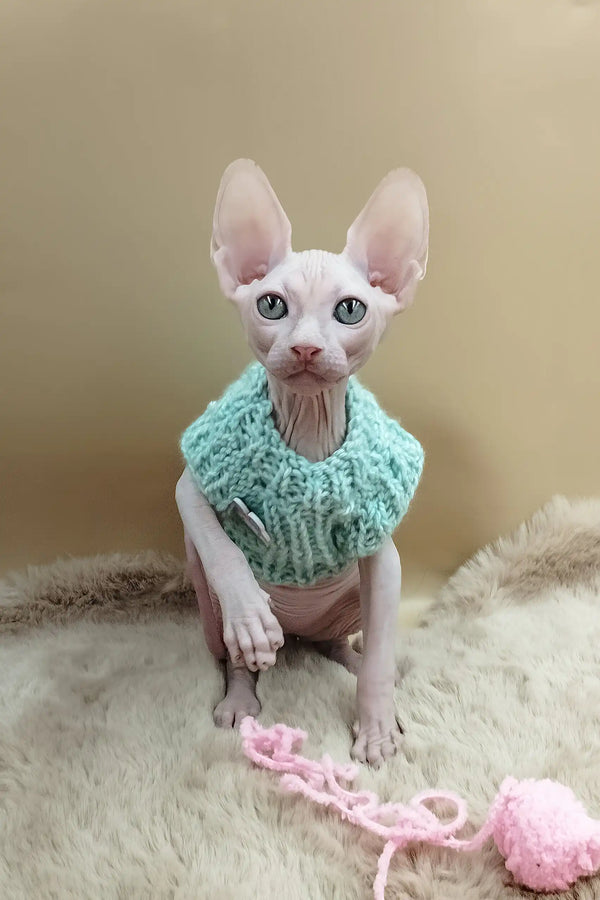 Matis | canadian sphynx kitten