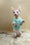 Matis | Canadian Sphynx Kitten