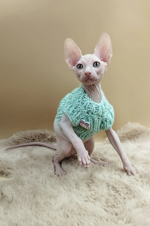 Matis | canadian sphynx kitten