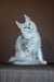 Cute white fluffy Maine Coon kitten with striking green eyes sitting upright