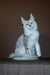 White and gray Maine Coon kitten with fluffy coat and ear tufts, perfect companion