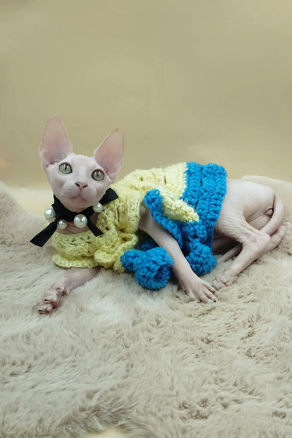 Melissa | canadian sphynx kitten