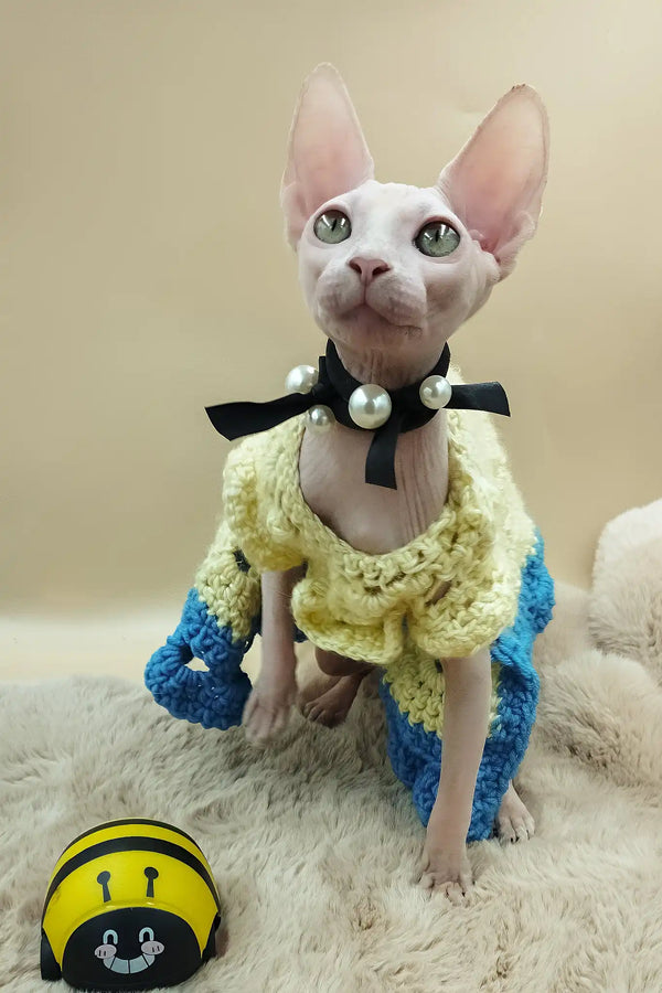 Melissa | canadian sphynx kitten