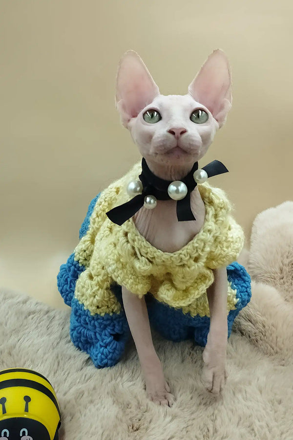Melissa | canadian sphynx kitten