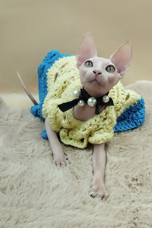 Melissa | canadian sphynx kitten