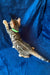 Tabby cat with a green collar stretching, perfect for your Bengal Kitten collection