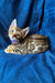 Bengal kitten with spotted coat and bright eyes in a purple collar, Merry