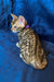 Bengal kitten with spotted coat sitting pretty against a blue backdrop