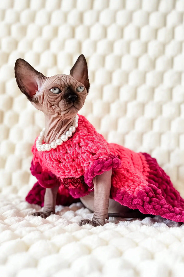 Hairless Mery the Canadian Sphynx Kitten in a cute pink dress and pearl necklace