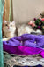 Nadis | british shorthair kitten