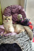 Nadis | british shorthair kitten