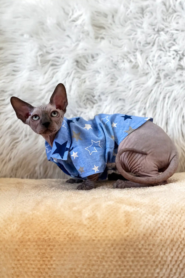 Nemo | canadian sphynx kitten