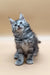 Cute gray tabby kitten with bright blue eyes tilting its head in Nensy | Maine Coon Kitten