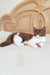 Adorable Brown and White British Shorthair Kitten named Newtella