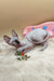 Cute Hairless Sphynx cat named Nicole chilling with colorful toys nearby