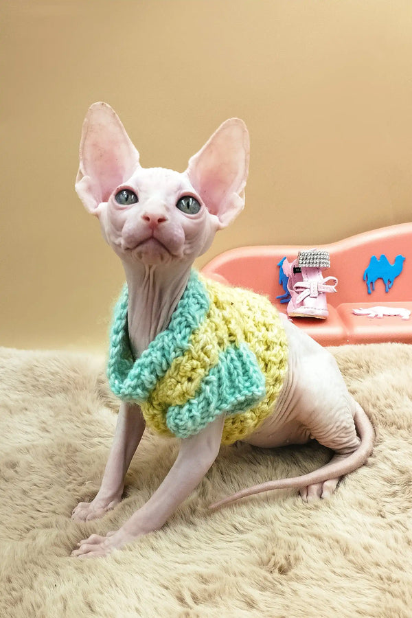 Nuts | canadian sphynx kitten