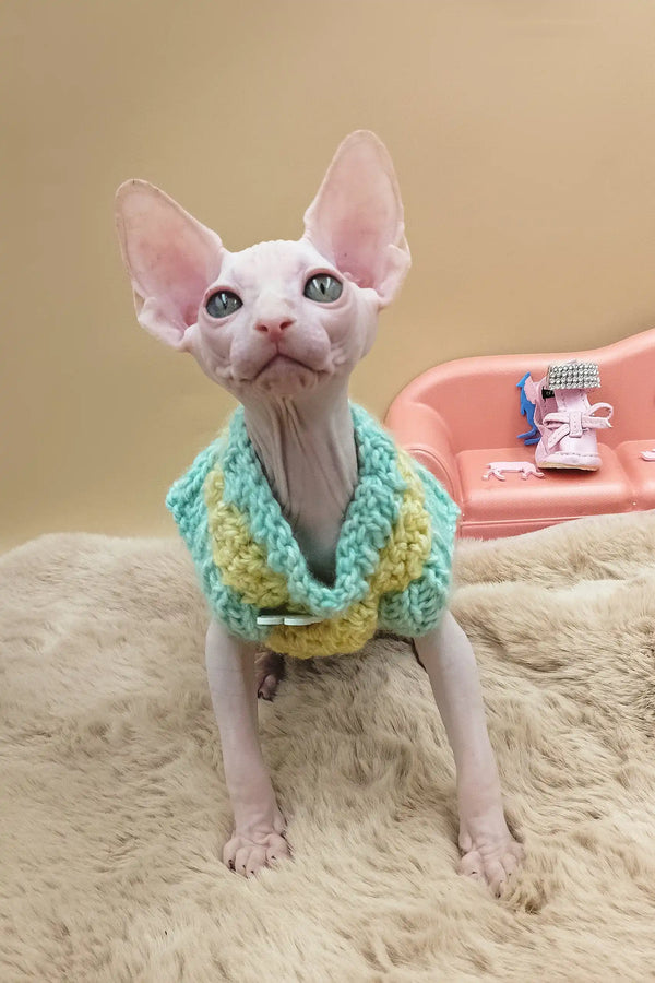 Nuts | canadian sphynx kitten