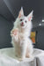 Officer | maine coon kitten