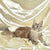 Maine Coon Kittens for Sale Ophelia | Kitten