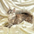 Maine Coon Kittens for Sale Ophelia | Kitten