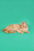 Ginger long-haired Maine Coon kitten lounging cutely for Orion product display