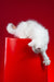 Pascal | maine coon kitten