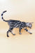 Silver Bengal cat with cool black rosettes strutting sideways in Patrick | Bengal Kitten