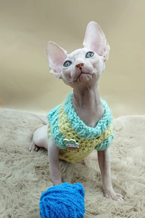 Patrick | canadian sphynx kitten