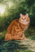 Pippilotta | kurilian bobtail longhair kitten
