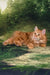 Pippilotta | kurilian bobtail longhair kitten