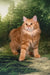 Pippilotta | kurilian bobtail longhair kitten