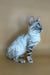 Snow Bengal cat with striking blue eyes in the Porshe Bengal Kitten product