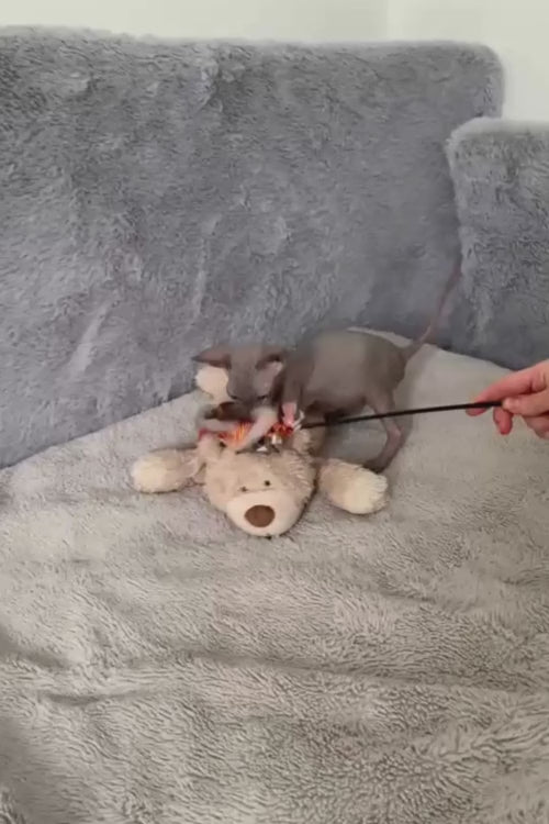 video