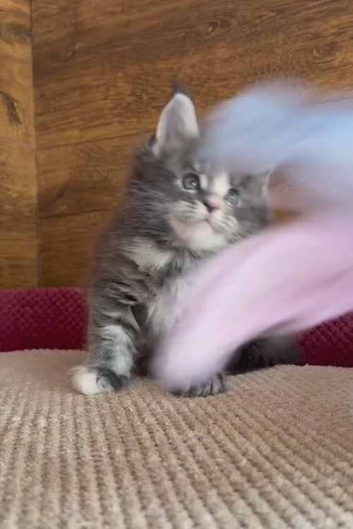 video