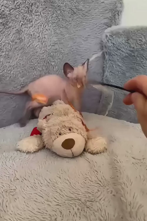 video