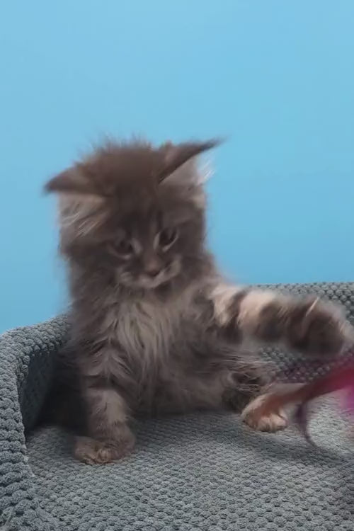 video