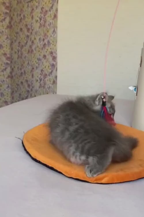 video