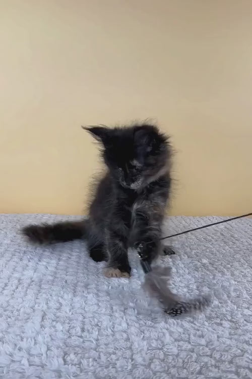 video