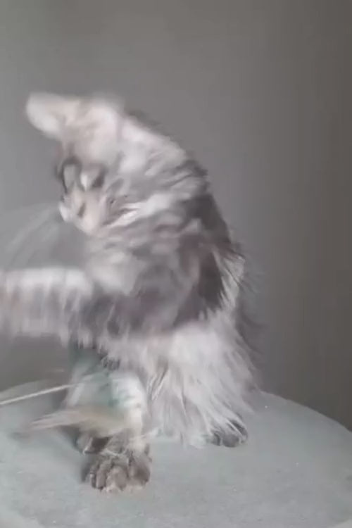 video