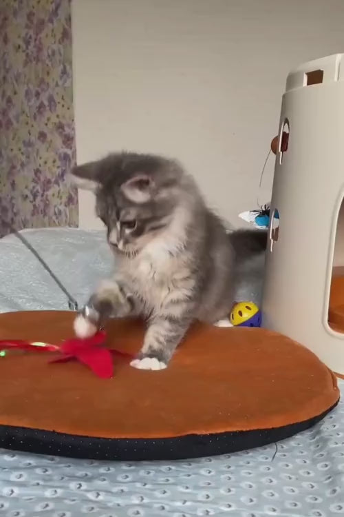 video