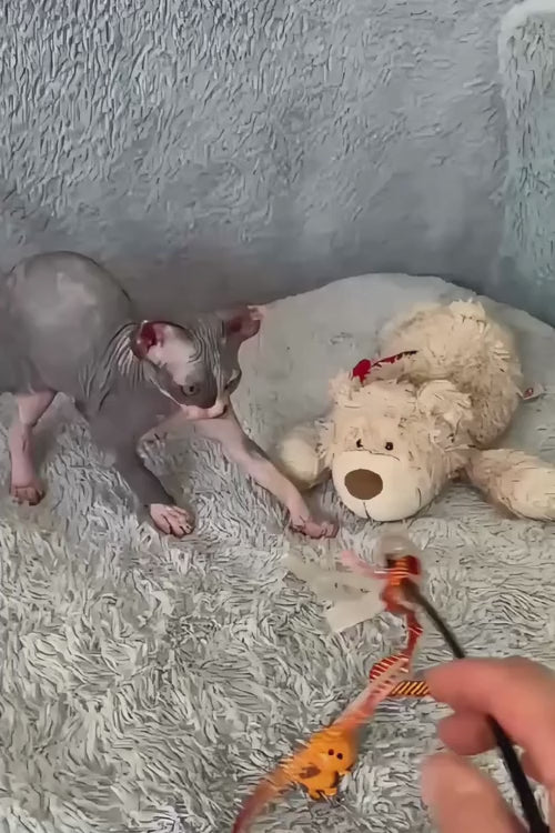 video