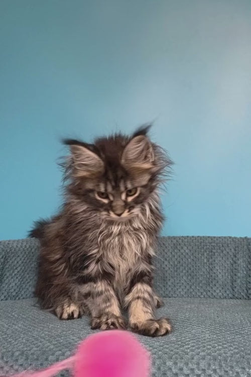 video