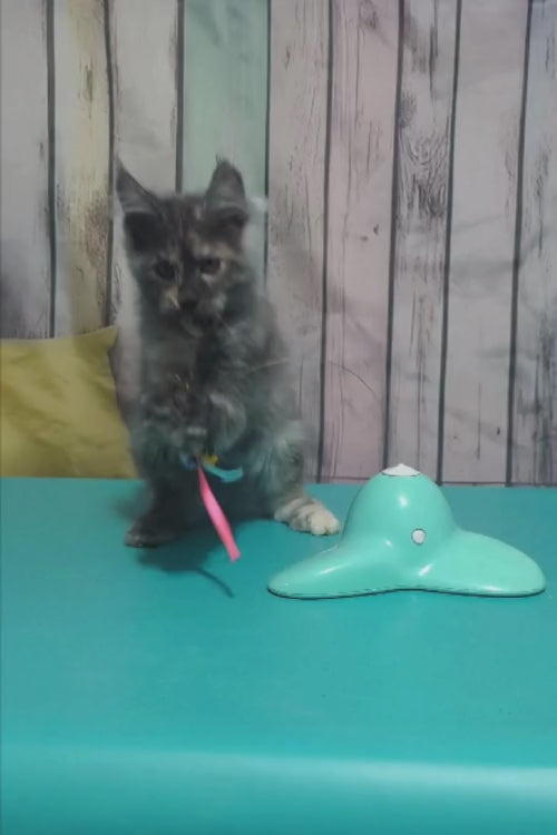 video