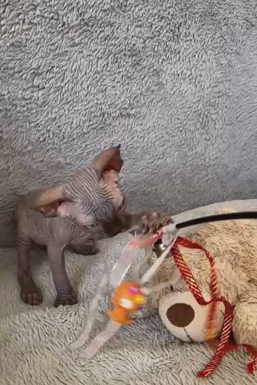 video