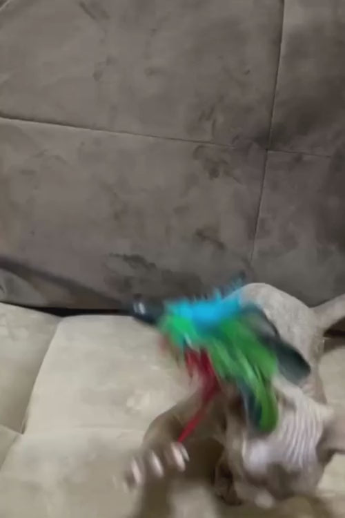 video