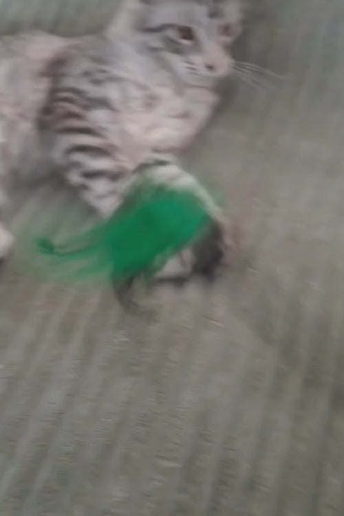 video