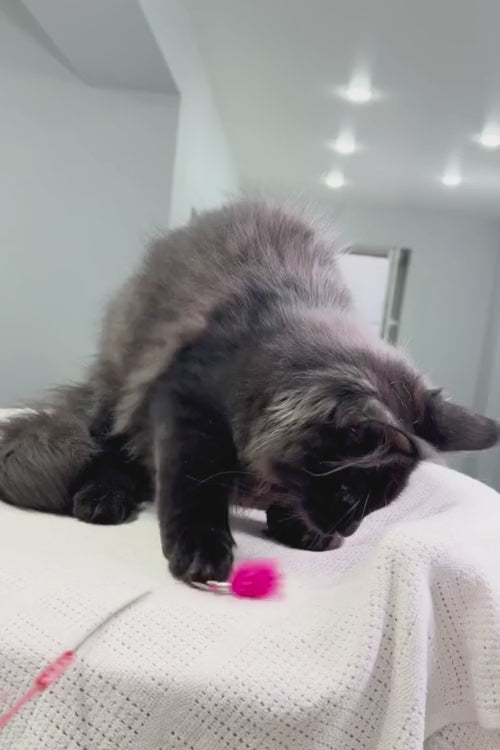 video