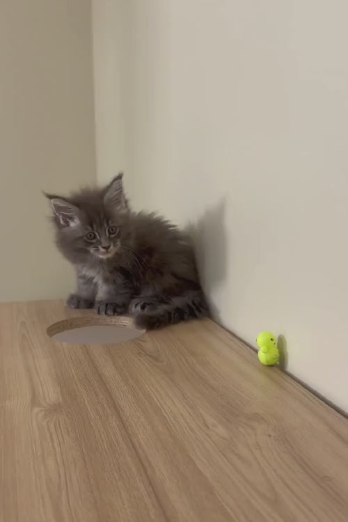 video