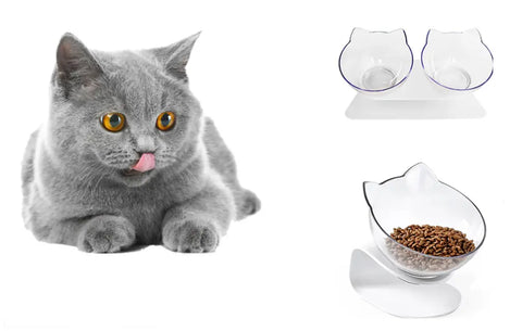 Purring Pet Food and Water Bowl