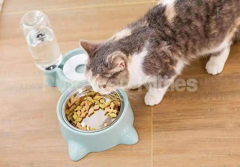 Purring Pet Water Fountain and Feeder